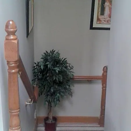 Bed & Breakfast Ryebrook House Killarney
